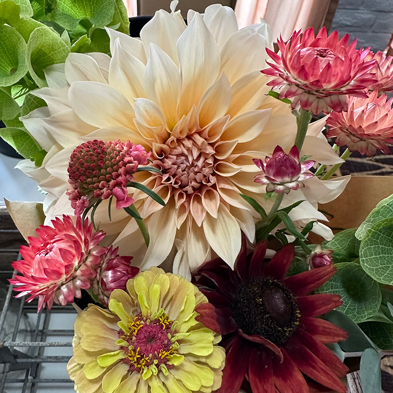 Fresh locally grown flowers